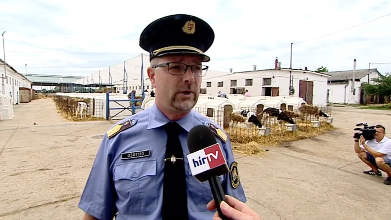 Teheneket gondoznak, gépeket bontanak: itt nem unatkoznak a rabok