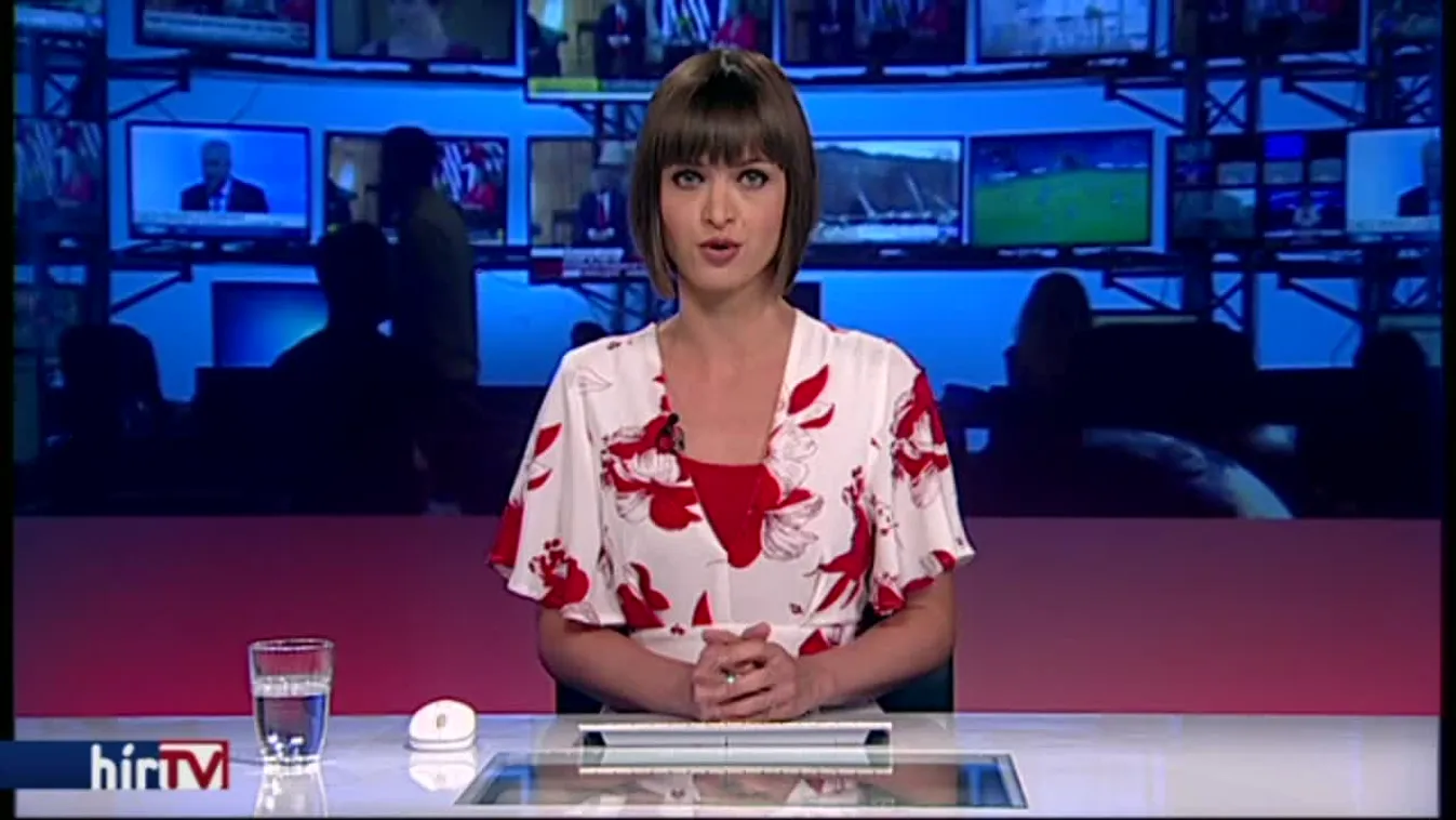 Mészáros Lőrinc üzleti köre a külkereskedelembe is beszállt