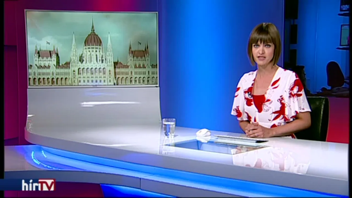 A DK-sokon kívül minden ellenzéki megszavazta a képviselői béremelést