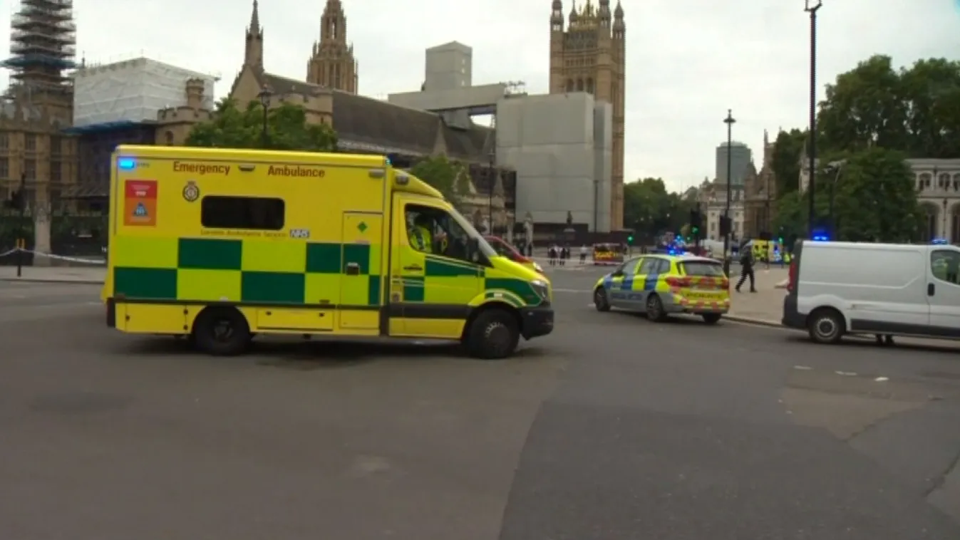 Nem működik együtt a hatóságokkal Parlament kerítésének hajtó férfi