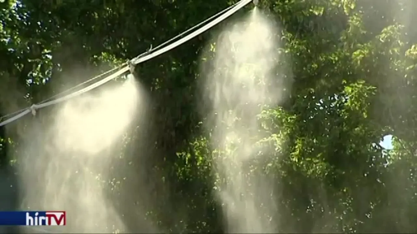 Hétfőn és kedden is telt házas lesz a Sziget