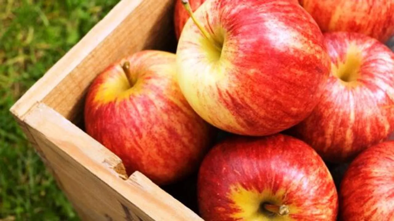 Két forinttal oldaná meg a helyzetet a feldolgozó üzem