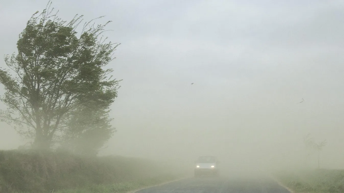 Fákat csavart ki a vihar