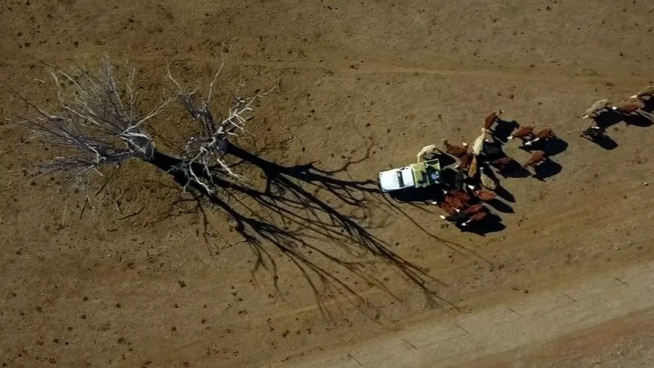 Soha nem látott szárazság tombol a kenguruk földjén