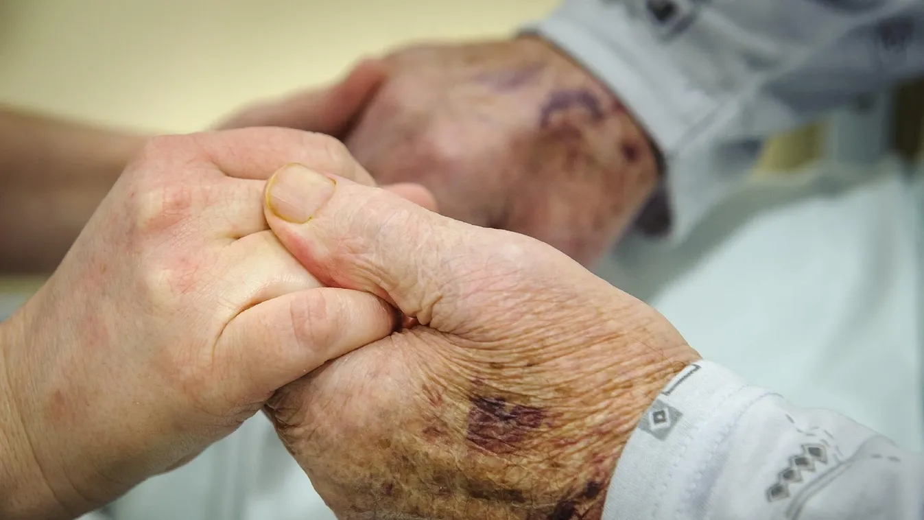 Bizakodó a MEOSZ elnöke