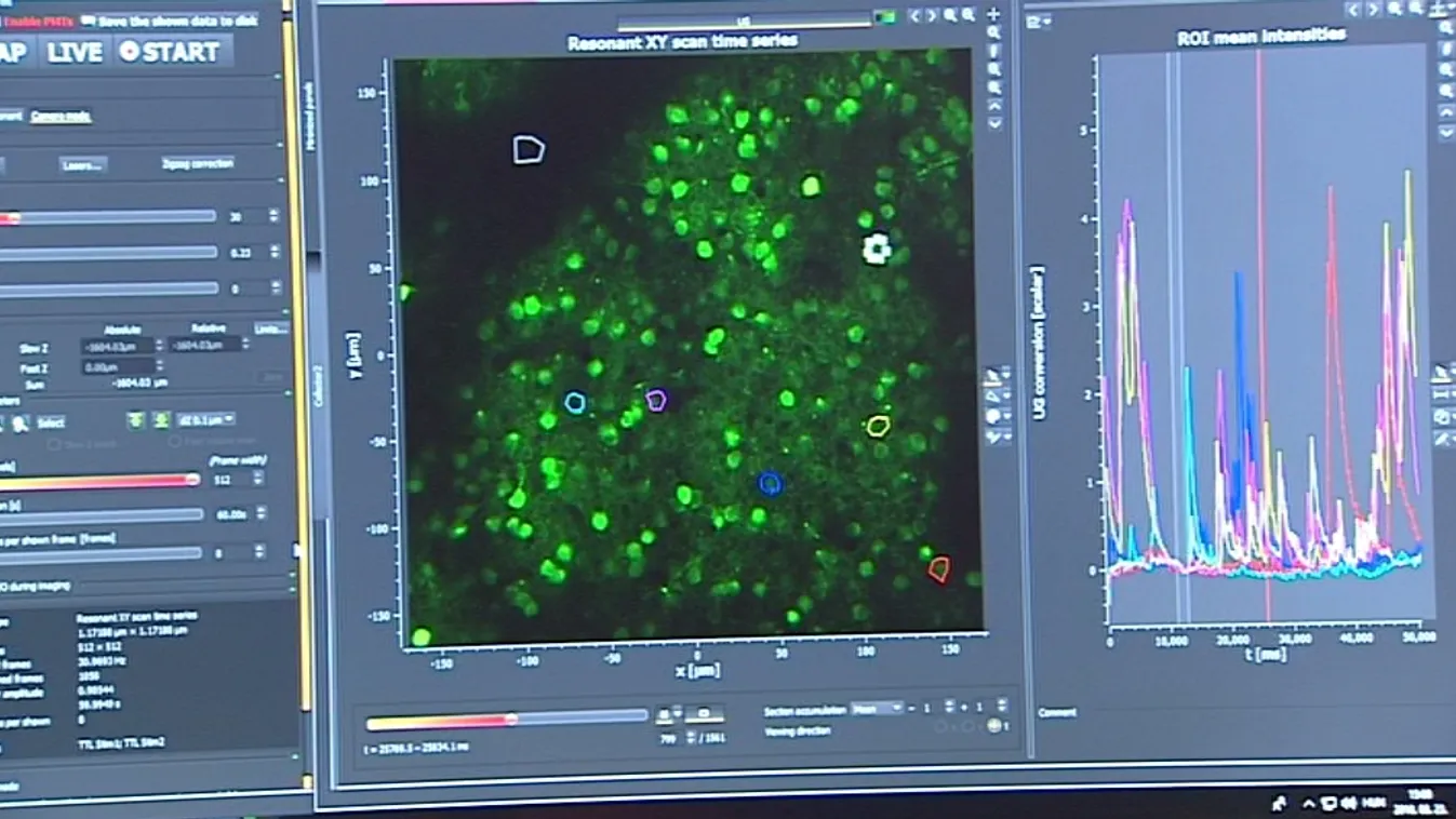 Keményebb fellépést sürget az MTA az álgyógyítók ellen
