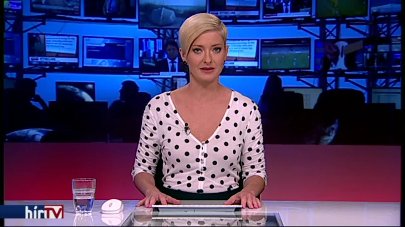 360 milliót akart lenyúlni, S. Ábelt újra elítélték