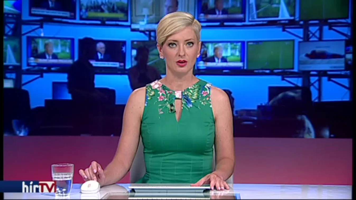 Párt lett a Mi Hazánk