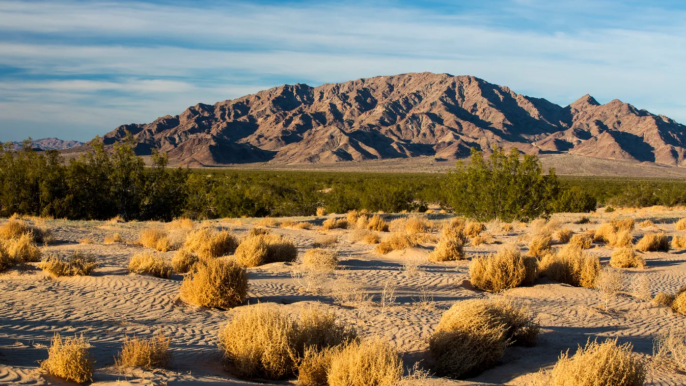 Eltűnhet a Mojave sivatag ökoszisztémájának egy része