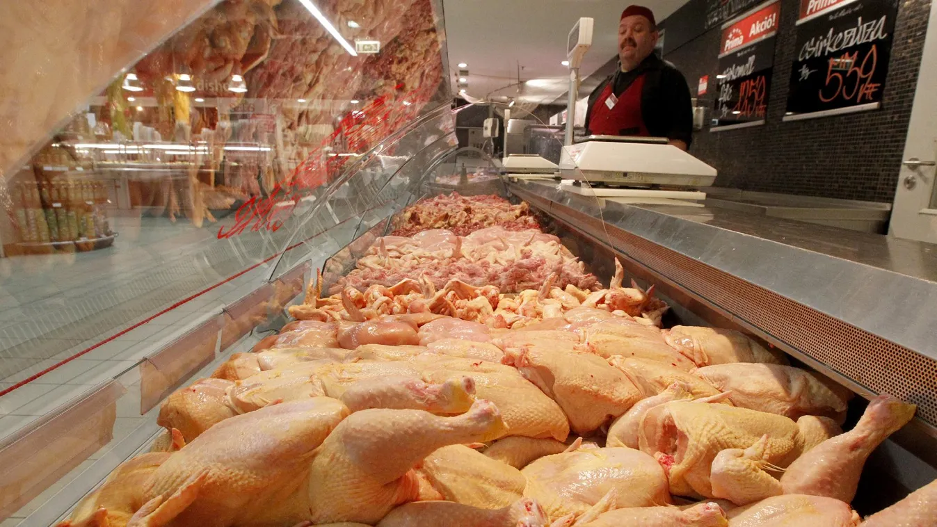 10 százalékkal is többet fizethetünk a baromfihúsért