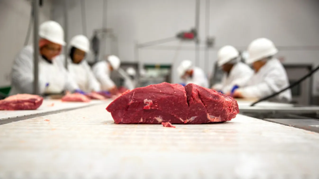 Kénytelenek leölni a lovaikat a szárazság miatt