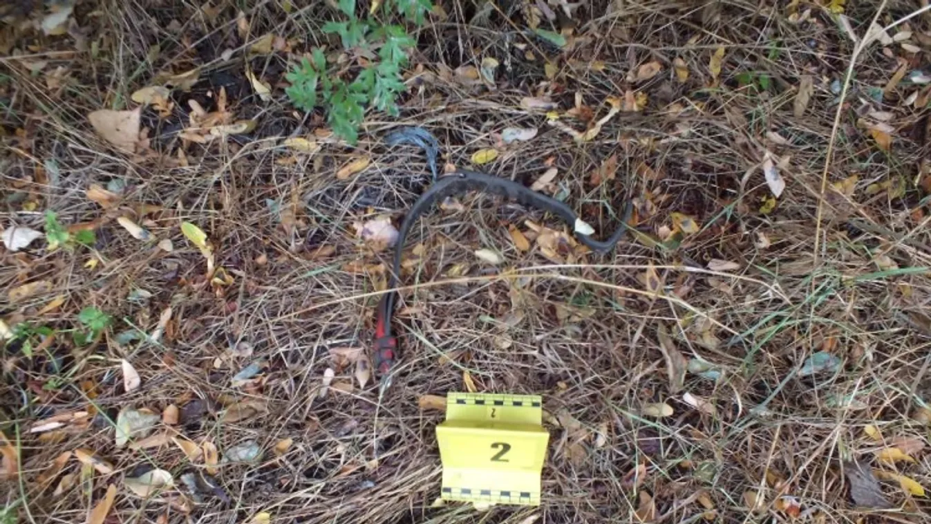 Állatkínzás miatt indult rendőrségi eljárás Inárcson