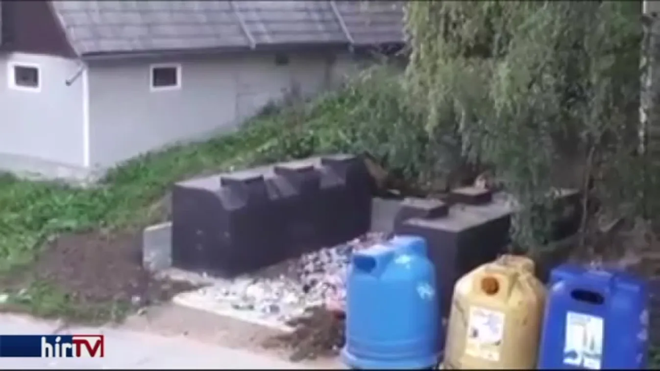 Tucatnyi nemkívánatos medve van Tusnádfürdőn