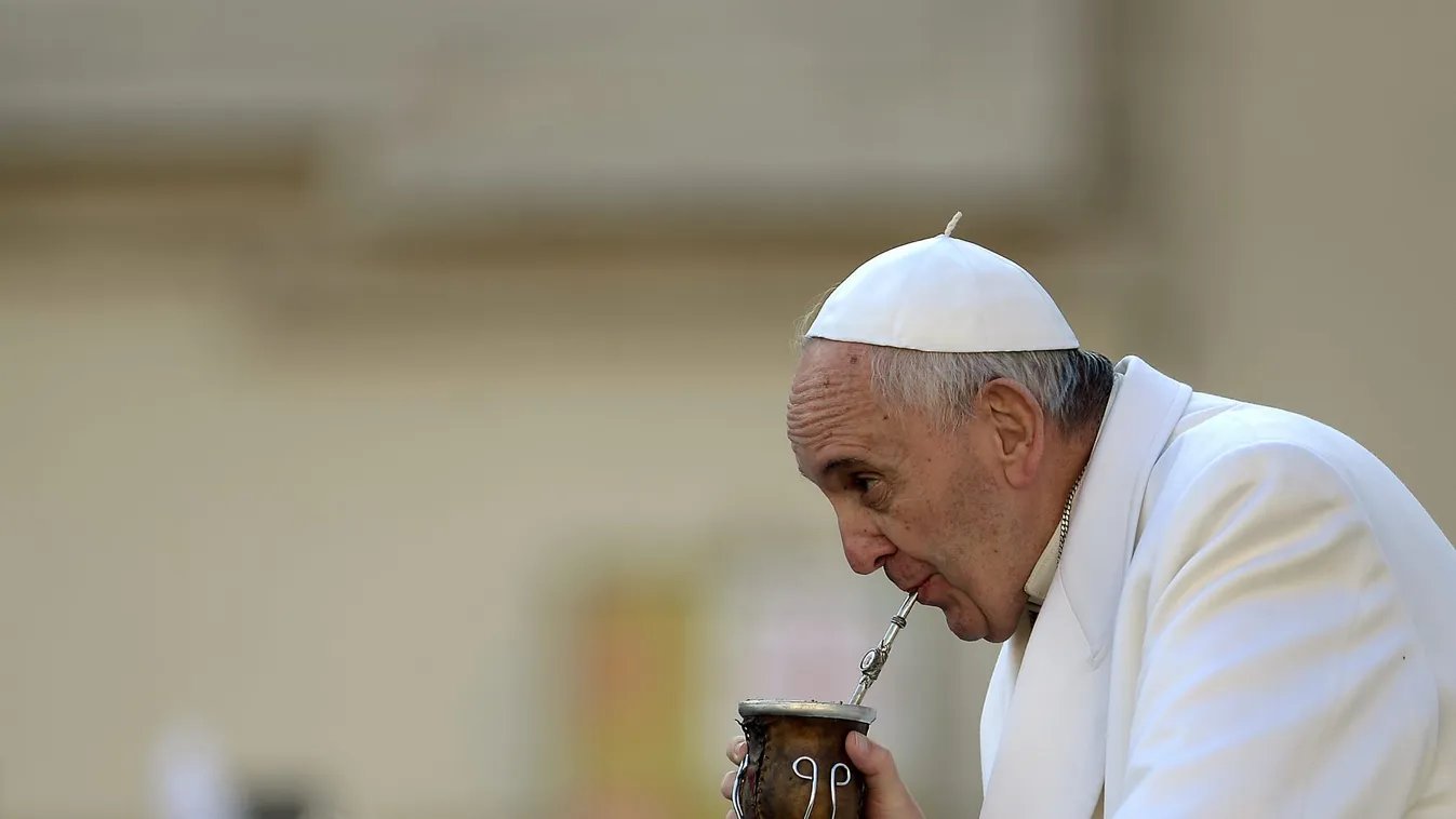 Ferenc pápa gondolatai a genderideológiáról
