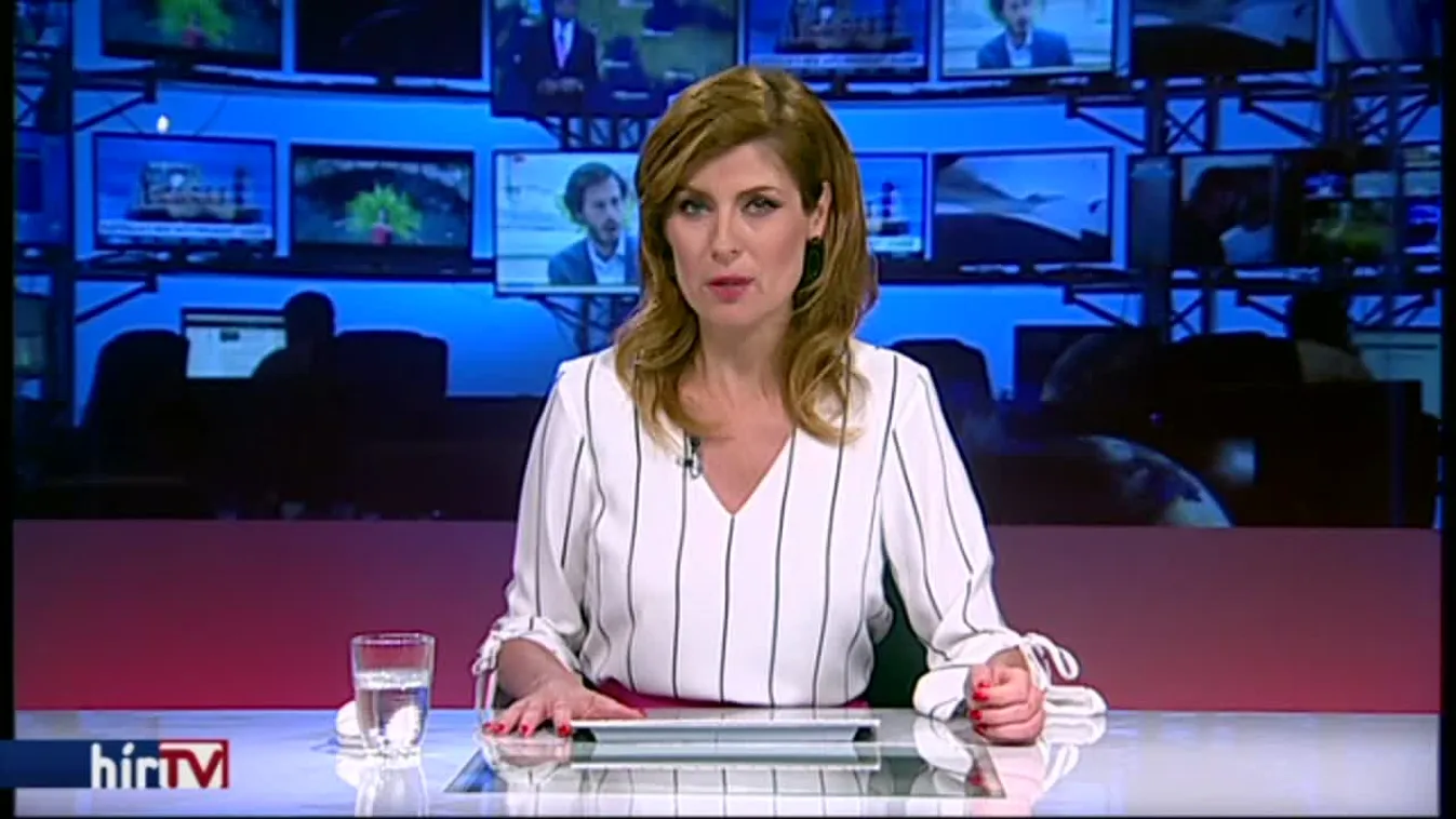 Marad előzetesben VV Fanni feltételezett gyilkosa