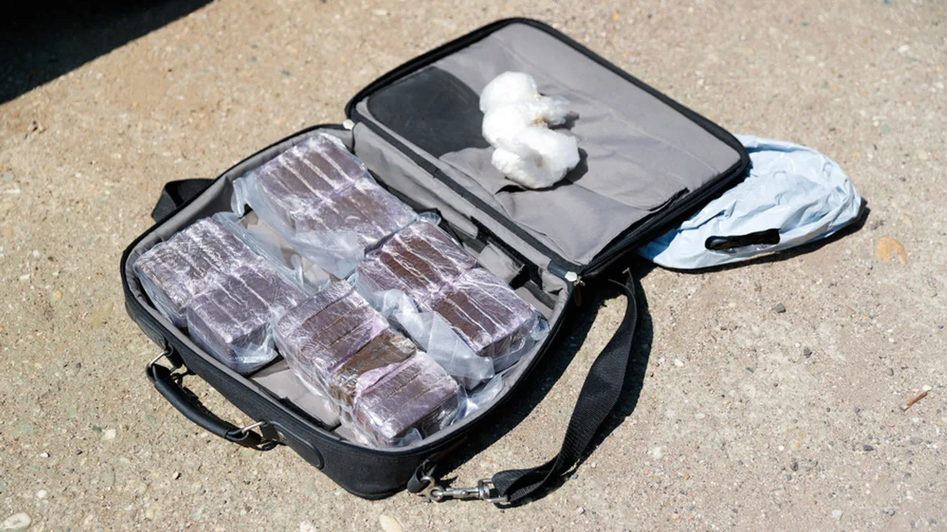 Hat külföldi drogdílert kapcsoltak le a Szigeten