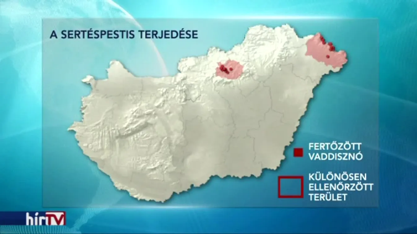 Sertéspestis: ezrével kell leölni az állatokat Romániában