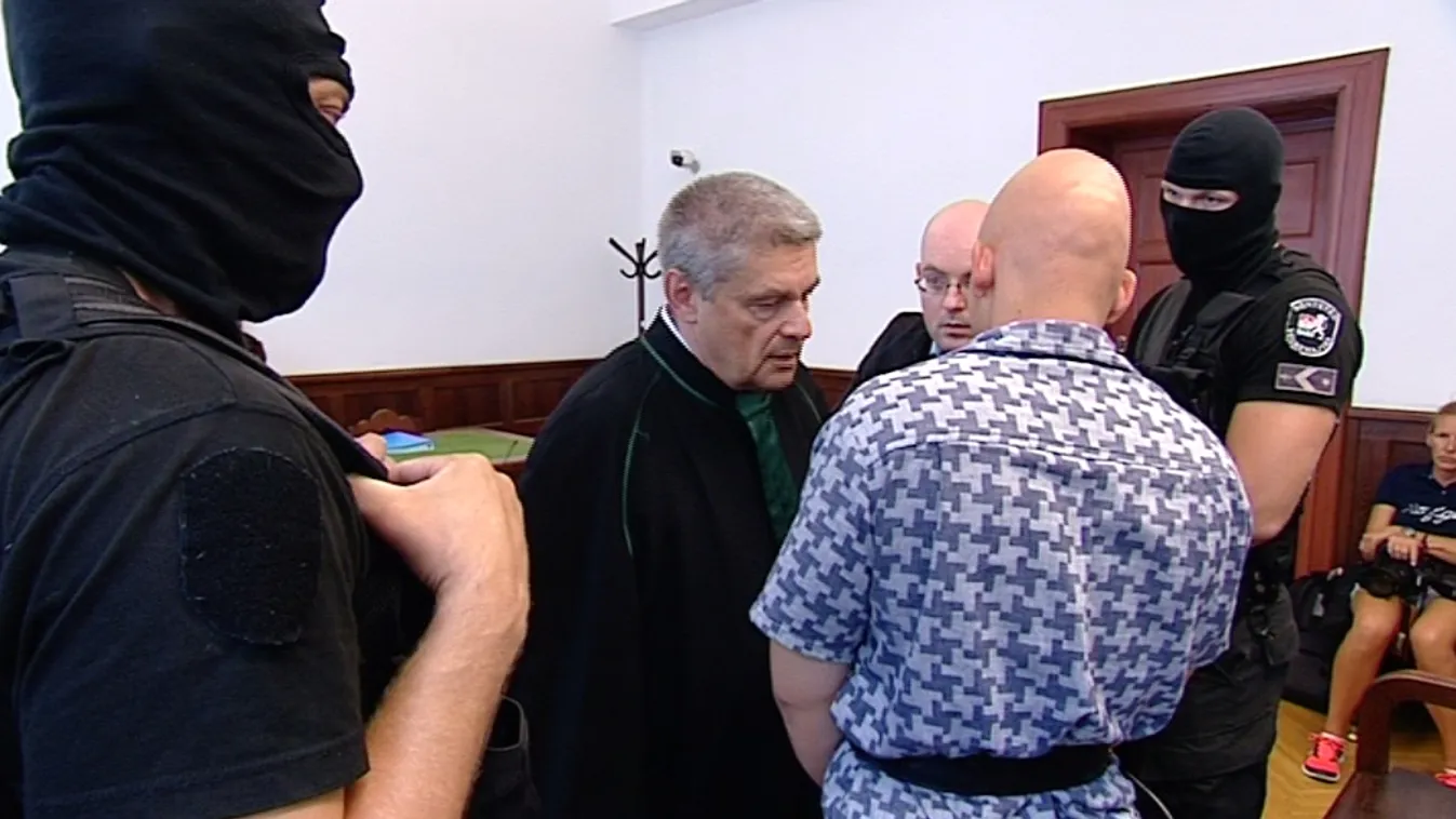 360 milliót akart lenyúlni, S. Ábelt újra elítélték