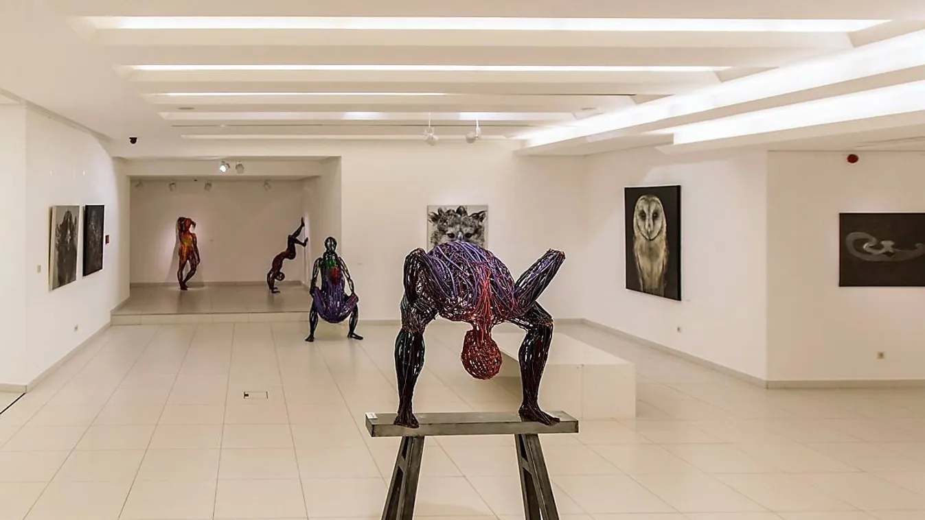 Megvannak az MMA ösztöndíjasai