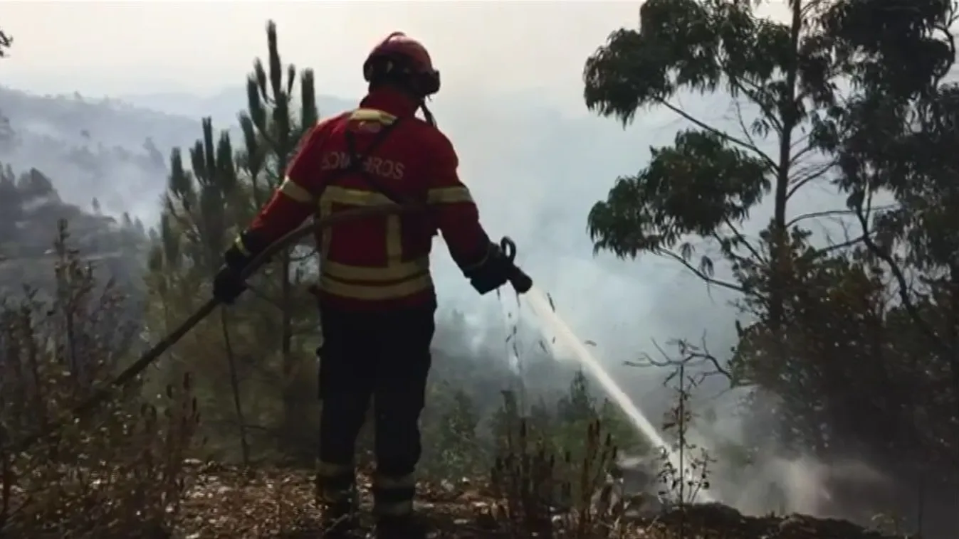 Száz családot kellett kitelepíteni az erdőtűz miatt