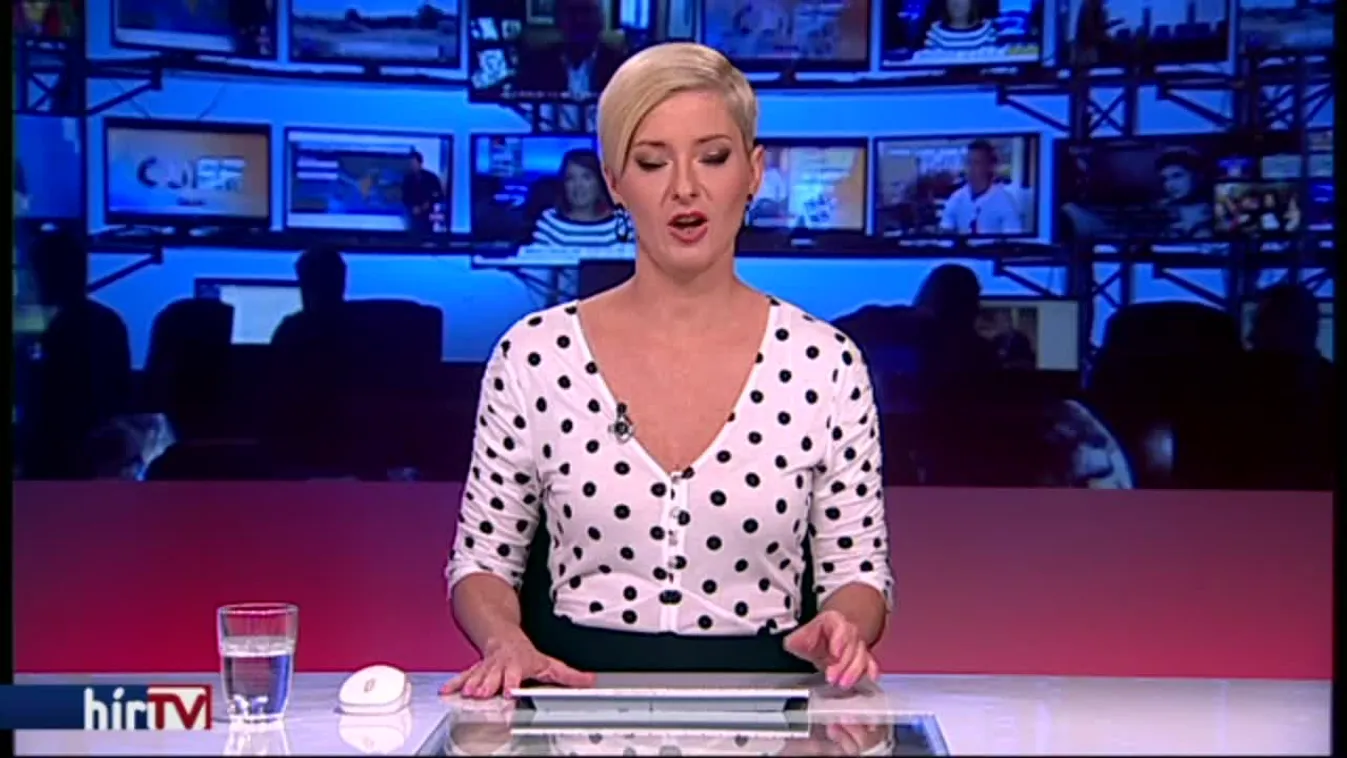 50 milliós óvadékért kerülhet ki az előzetesből Czeglédy Csaba