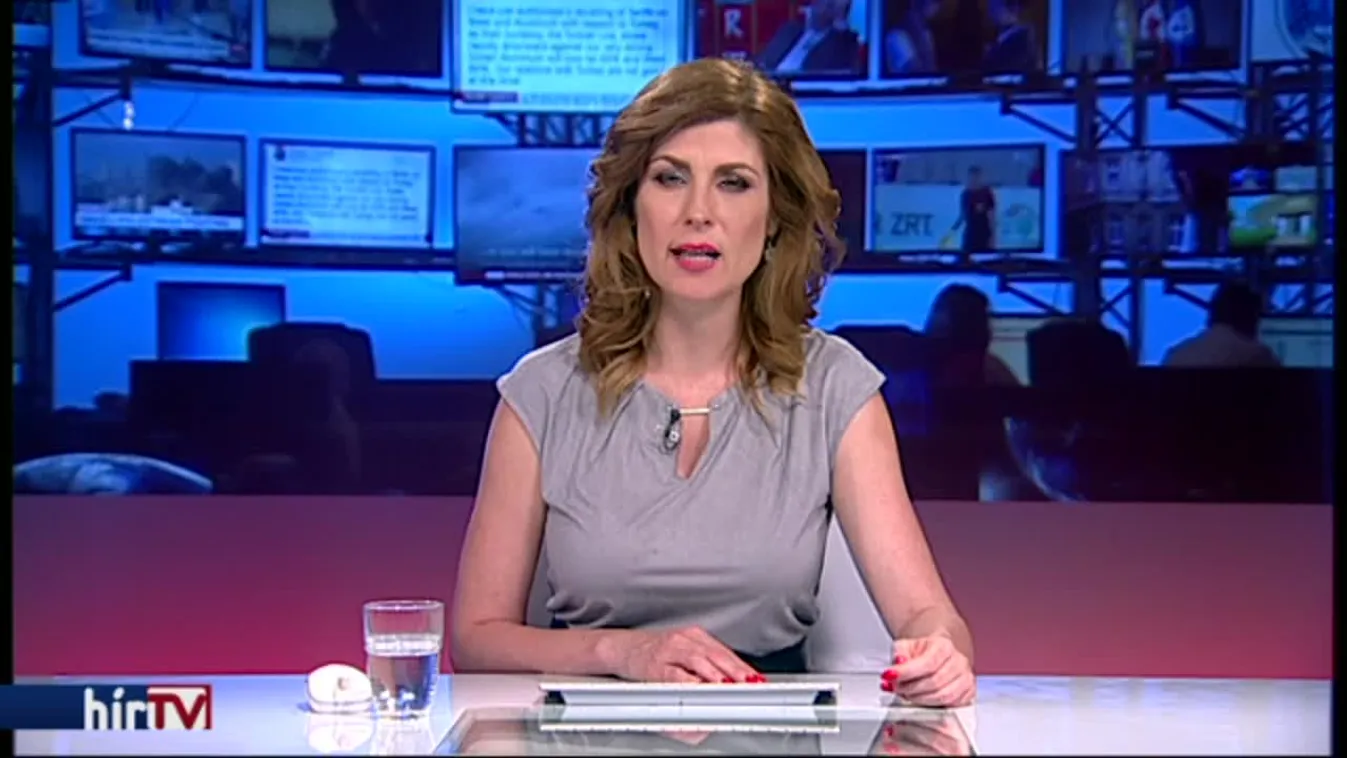 Hitlerként tiltakozott egy ellenzéki képviselő