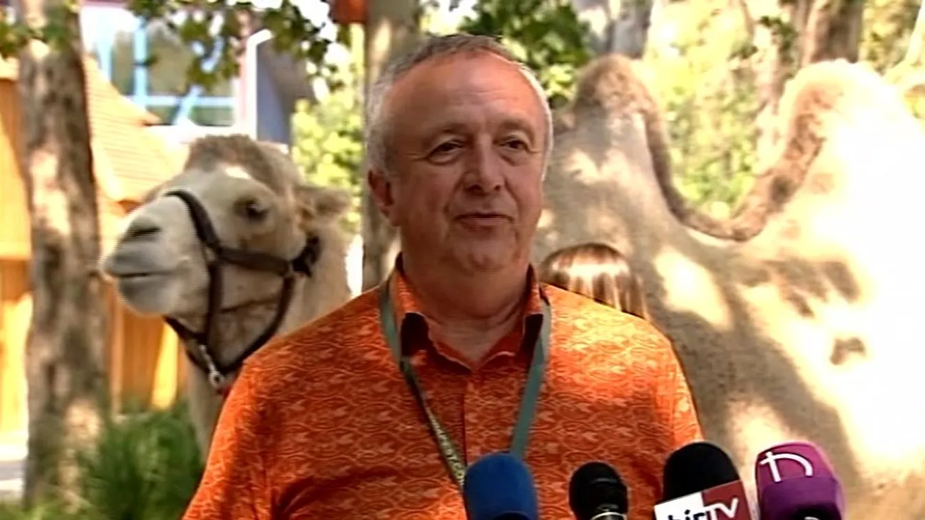 Augusztus utolsó napján ismét állatkertek éjszakája