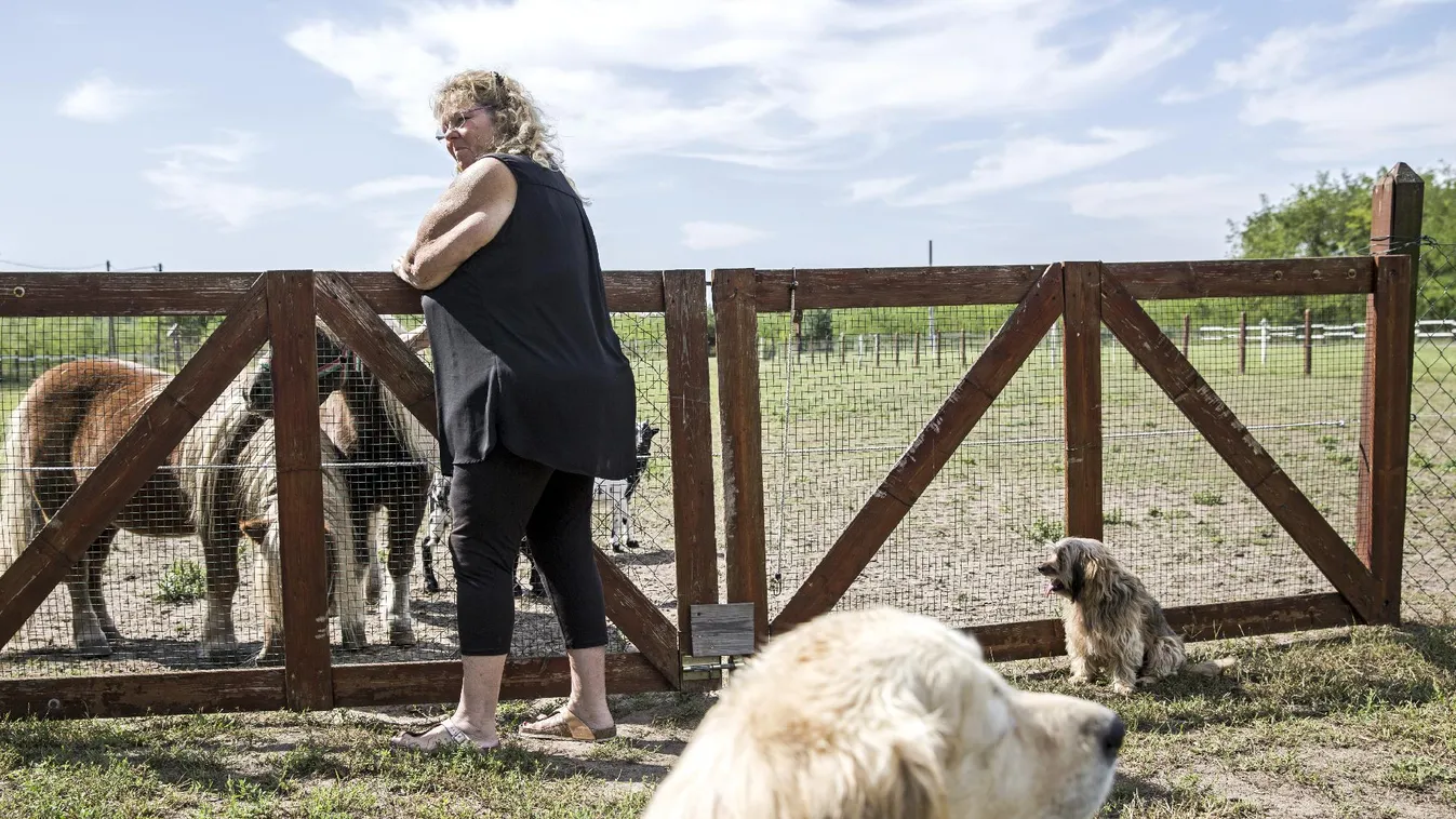 Több mint 8 milliárd forintot fordít a kormány tanyafejlesztésre