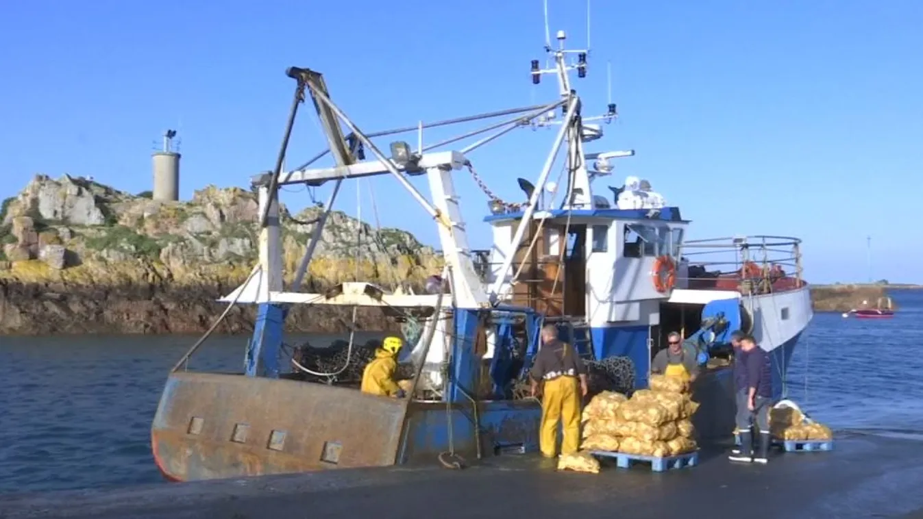 Nem sikerült békét kötni a kagylóháborúban
