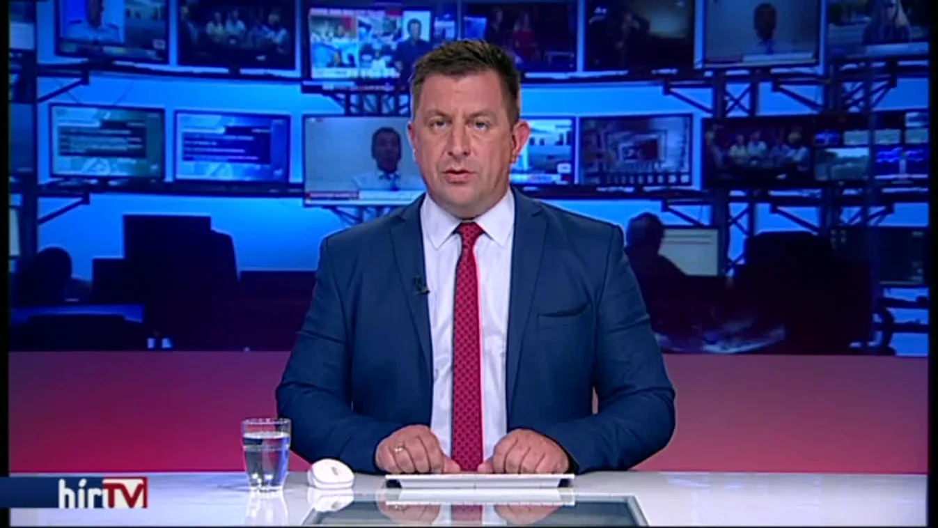 Románia az EB-től kér segítséget a sertéspestis megállítására