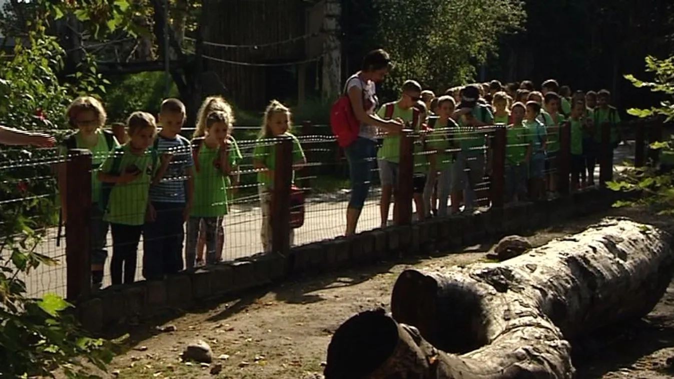 Duplájára emelik a fogyatékossággal élőket támogató szervezetek támogatását