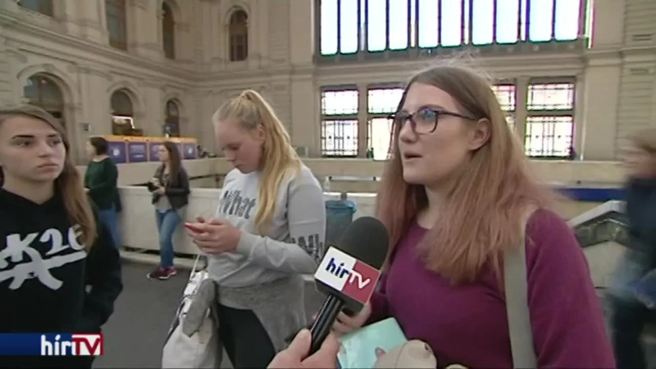 A MÁV-vezér 160 km/h-val közlekedő vonatokat szeretne látni