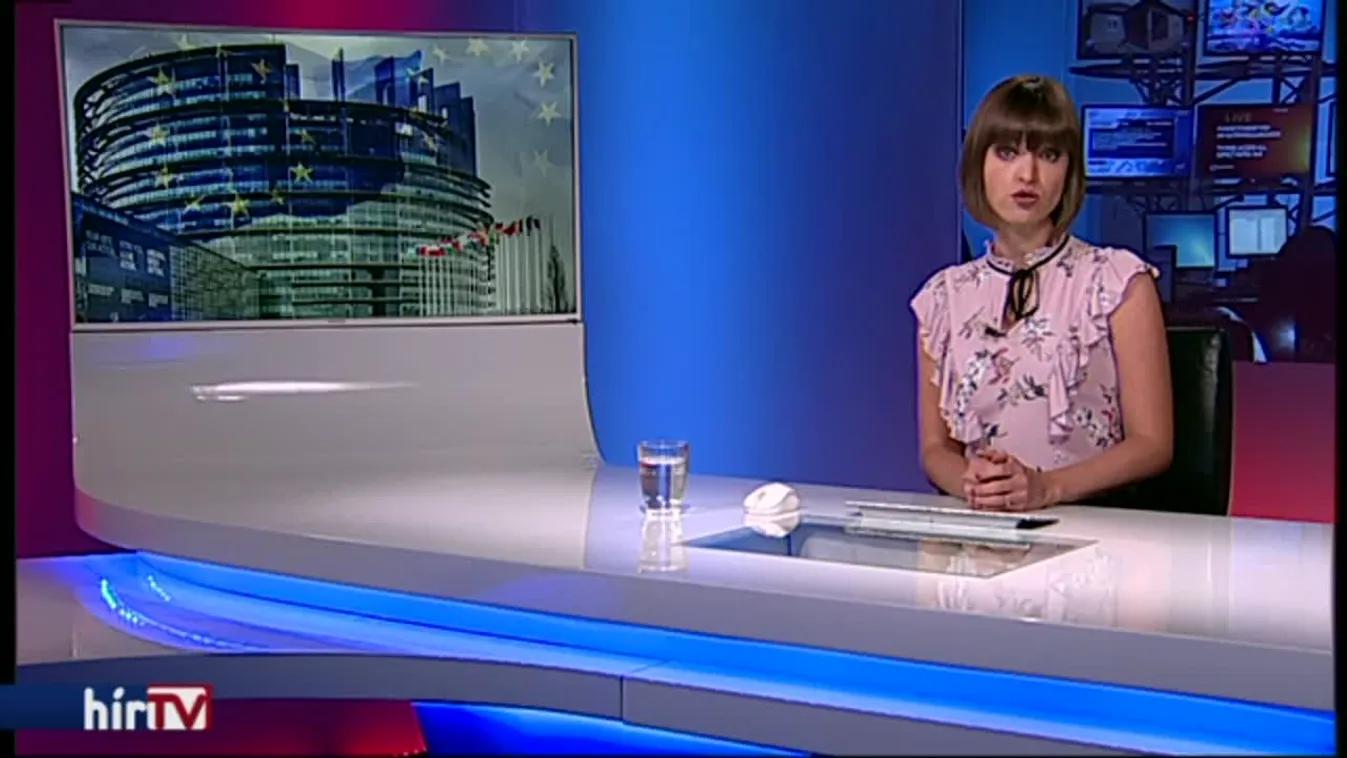 A Fidesz nem ért egyet a Kék Kártya-rendszer egyszerűsítésével