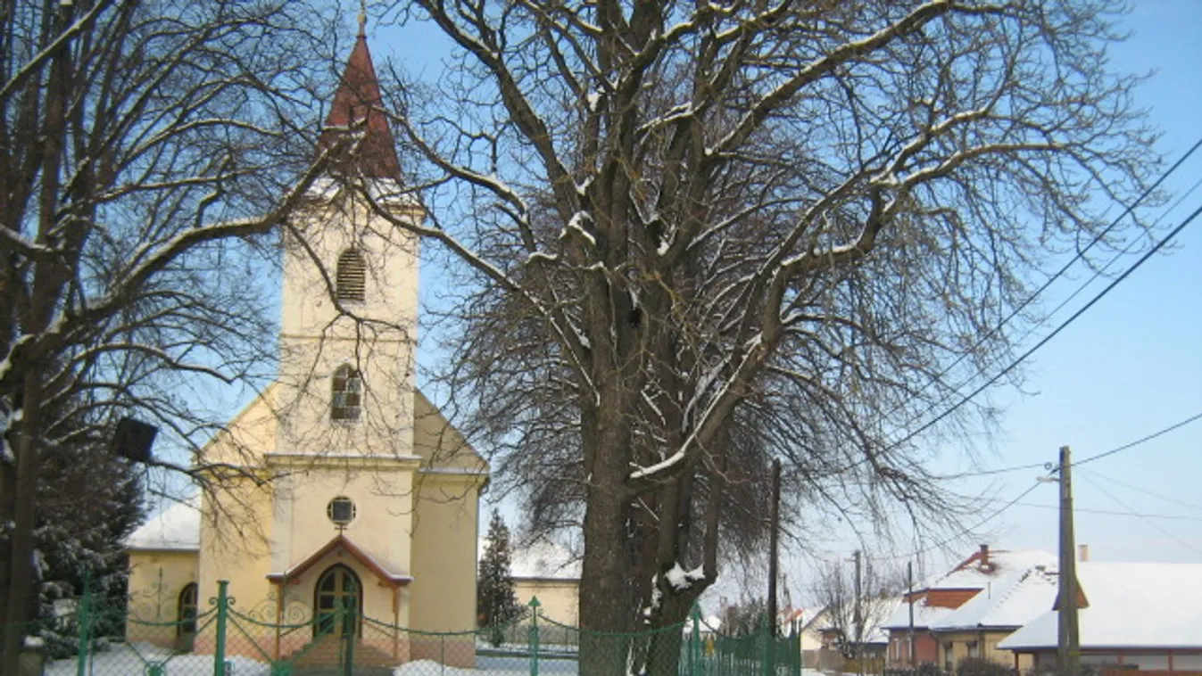 Megmenekülhet a száz éves fasor?