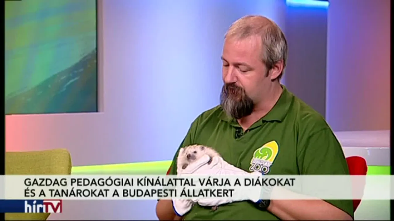 Paletta – Oktatóprogramok és Sünispotály a Fővárosi Állatkertben