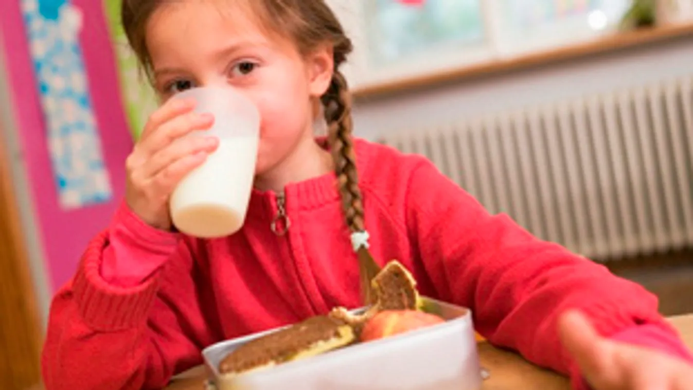 Az év bármely napján igényelhetők a gyermekétkeztetési támogatások
