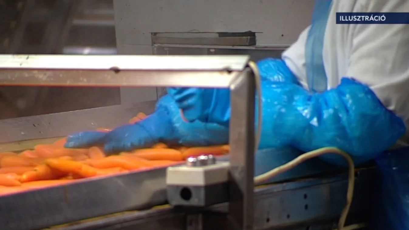 Veszélyes élelmiszerek