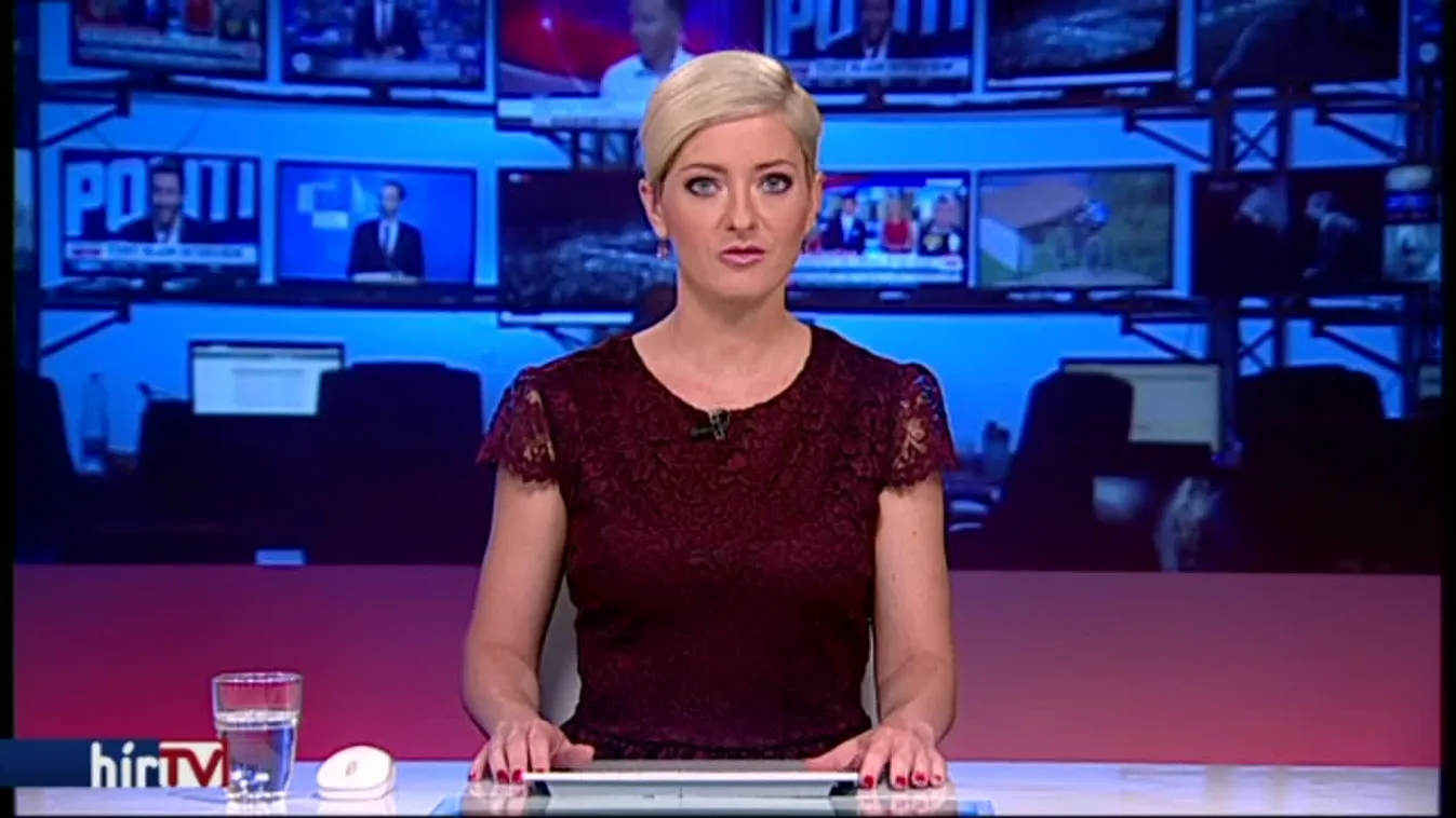 Közösségi borászat: szőlőtőtől a boroscímkéig