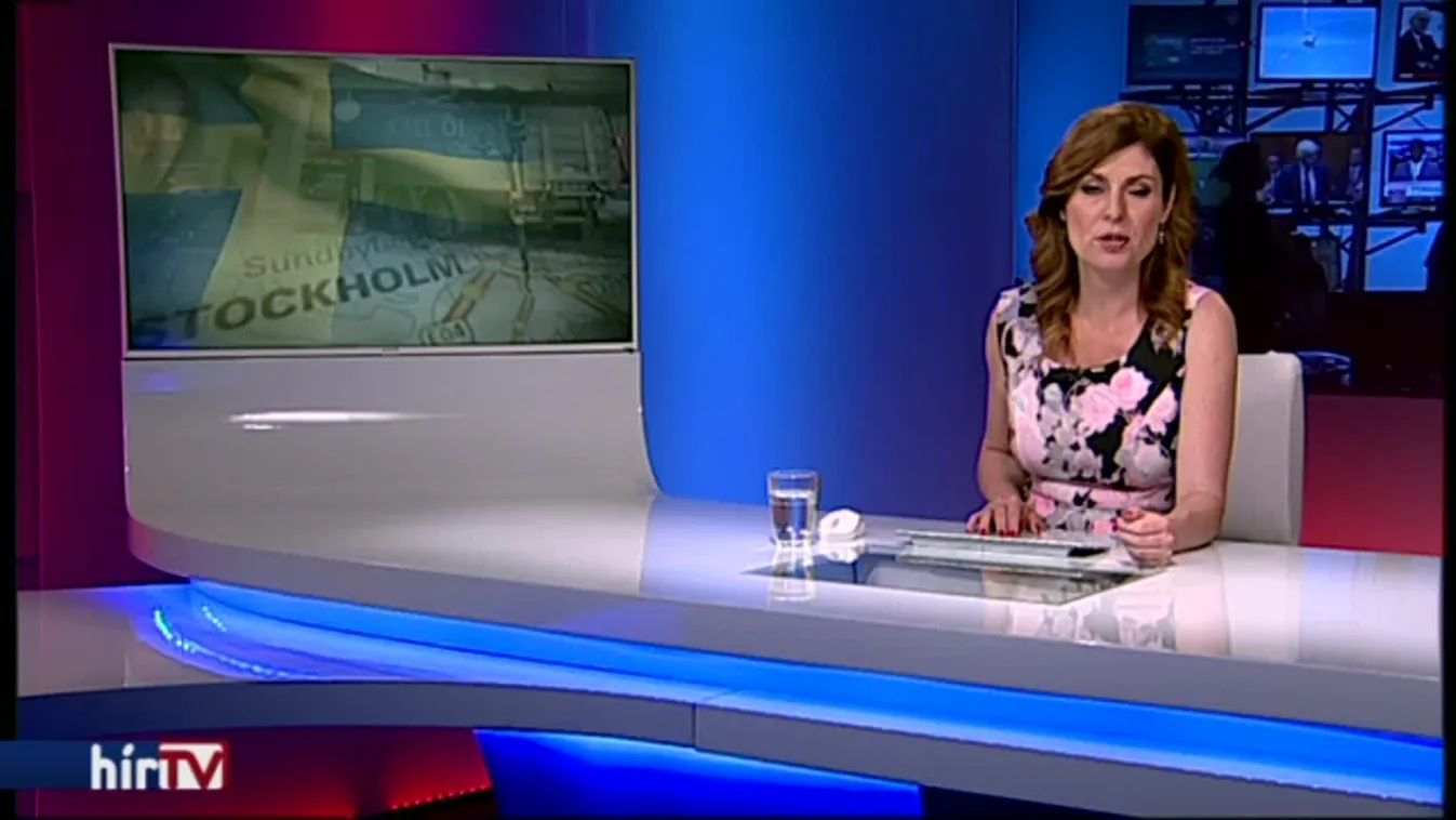 A svéd választásokon is bevándorlás lesz a fő téma