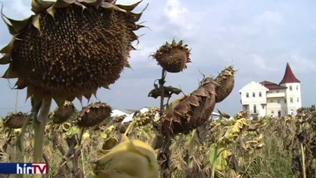 Hiányoznak a munkáskezek
