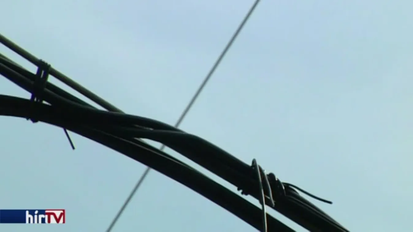 Panaszkönyv – Veszélyes élelmiszerek