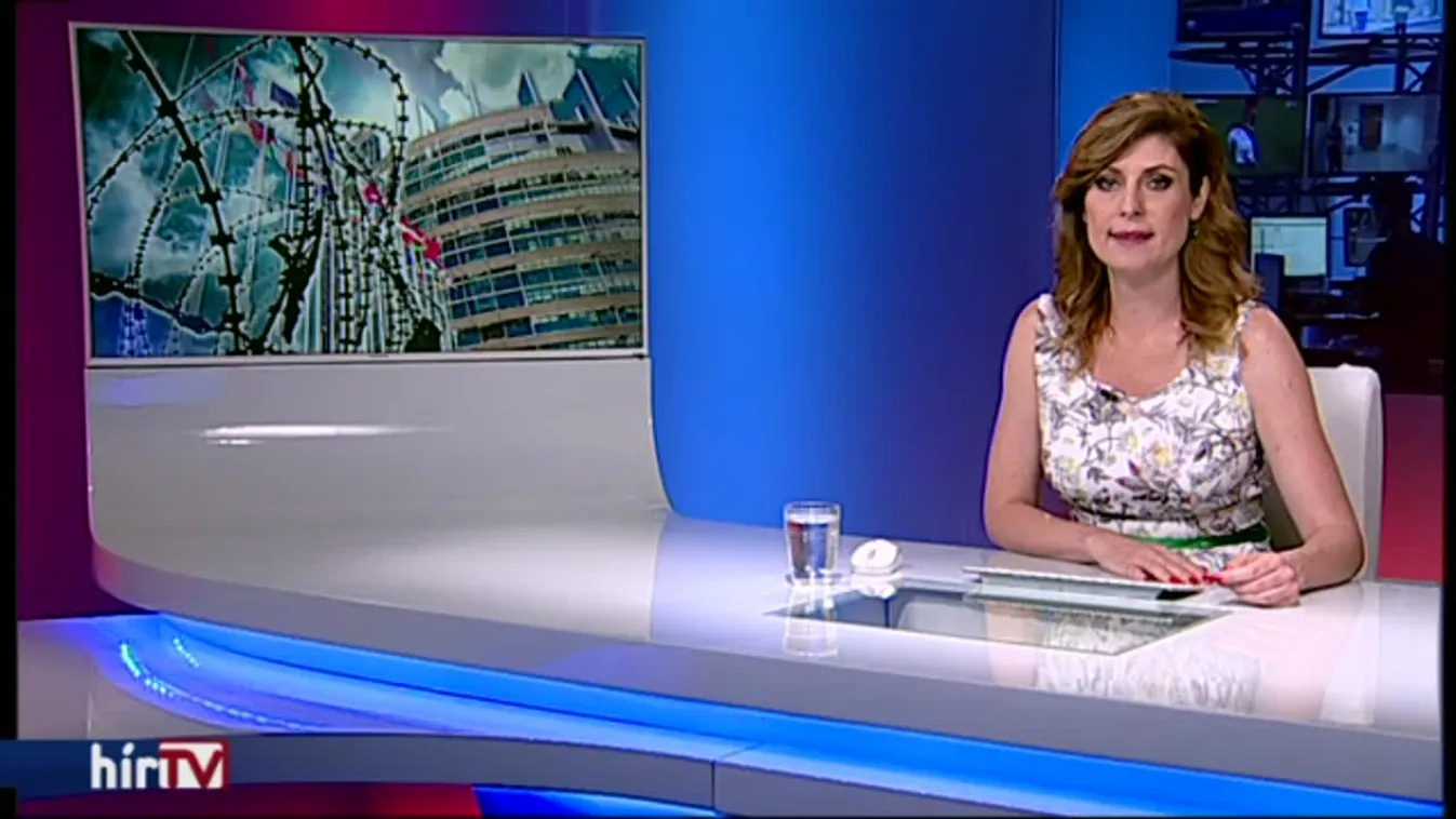 Az igazságügyi bizottság elé viszik a Migration Aid párttá alakulásának ügyét