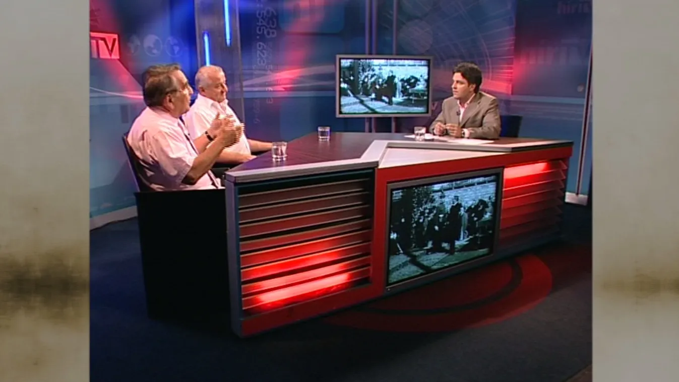 Kultúrpolitika és nemzetvízió