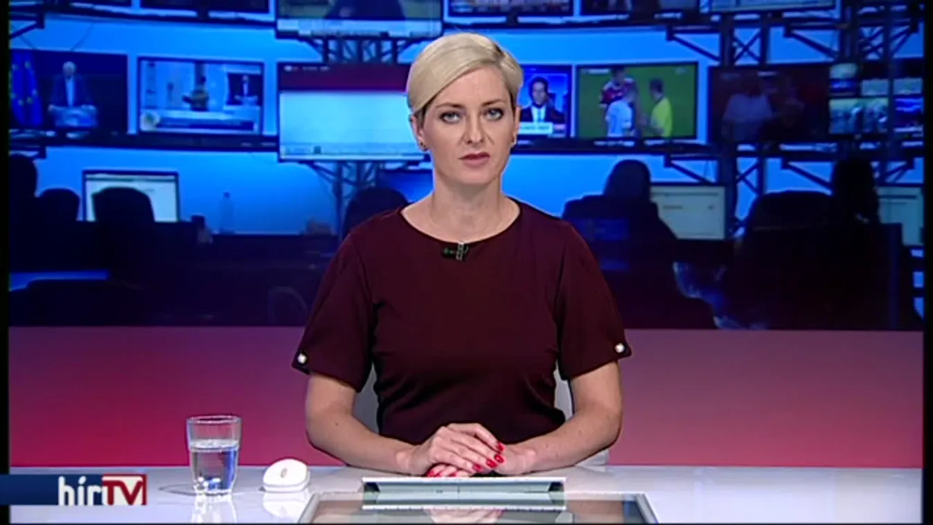 Vendégmunkások verték agyon a badacsonyi borászt