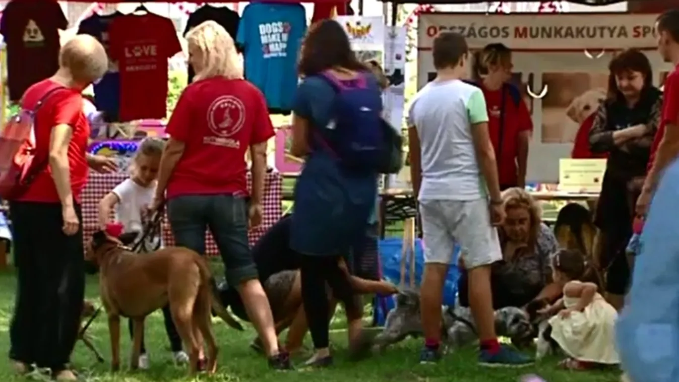 Állati jó családi nap, másodszor