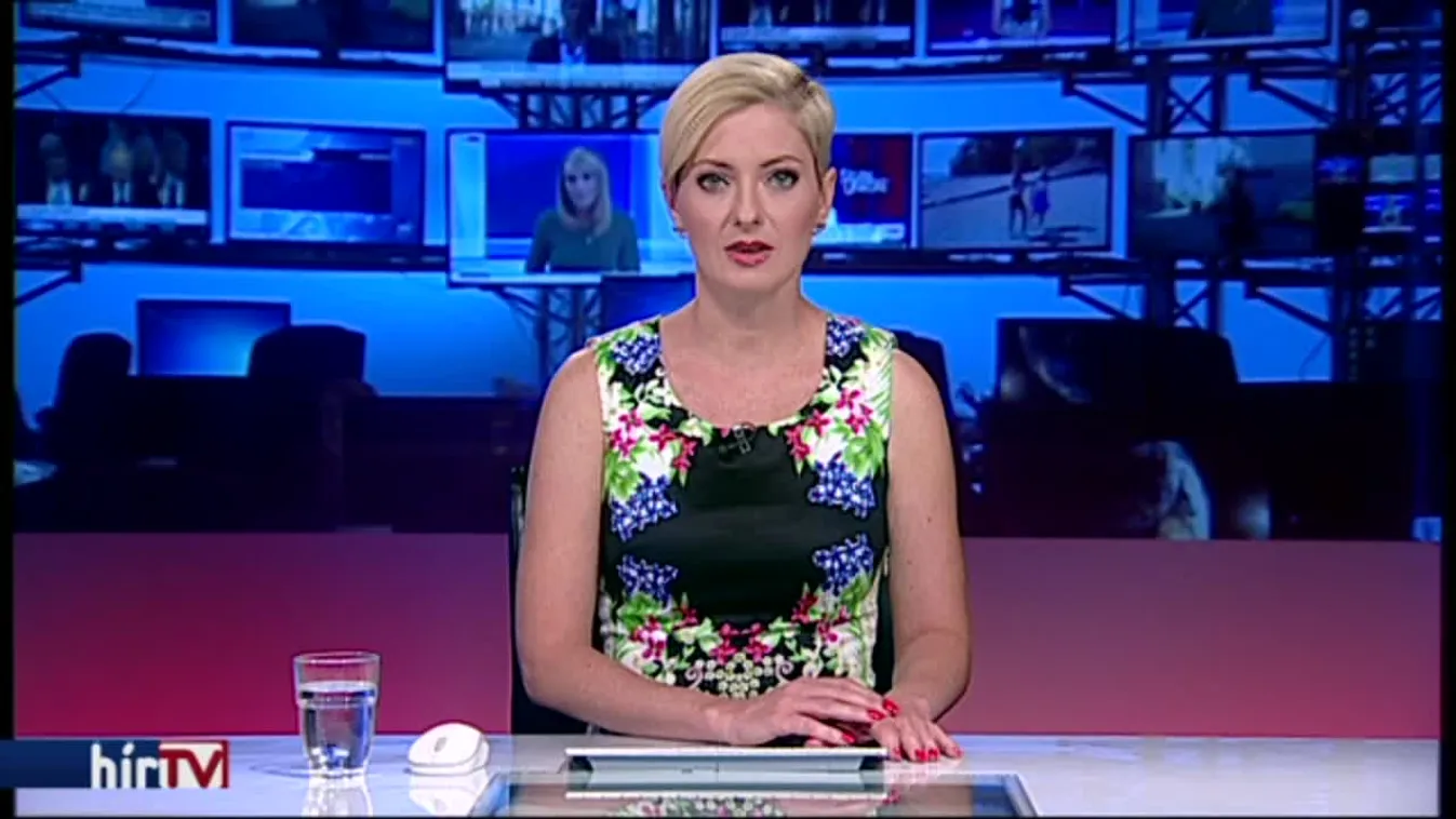 Menekült státuszú erőszakolót keres a rendőrség