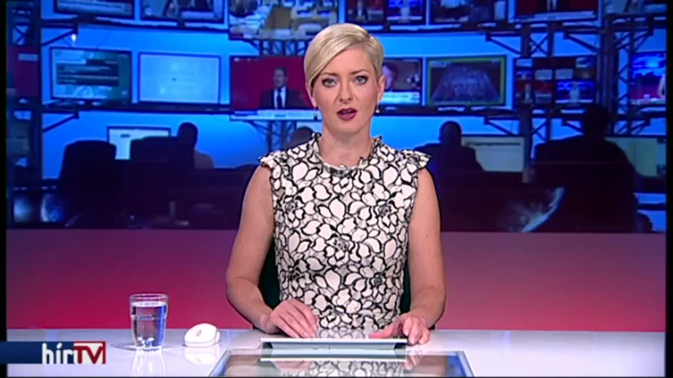 L. Simon: Ne politikai nézet szerint kategorizáljunk