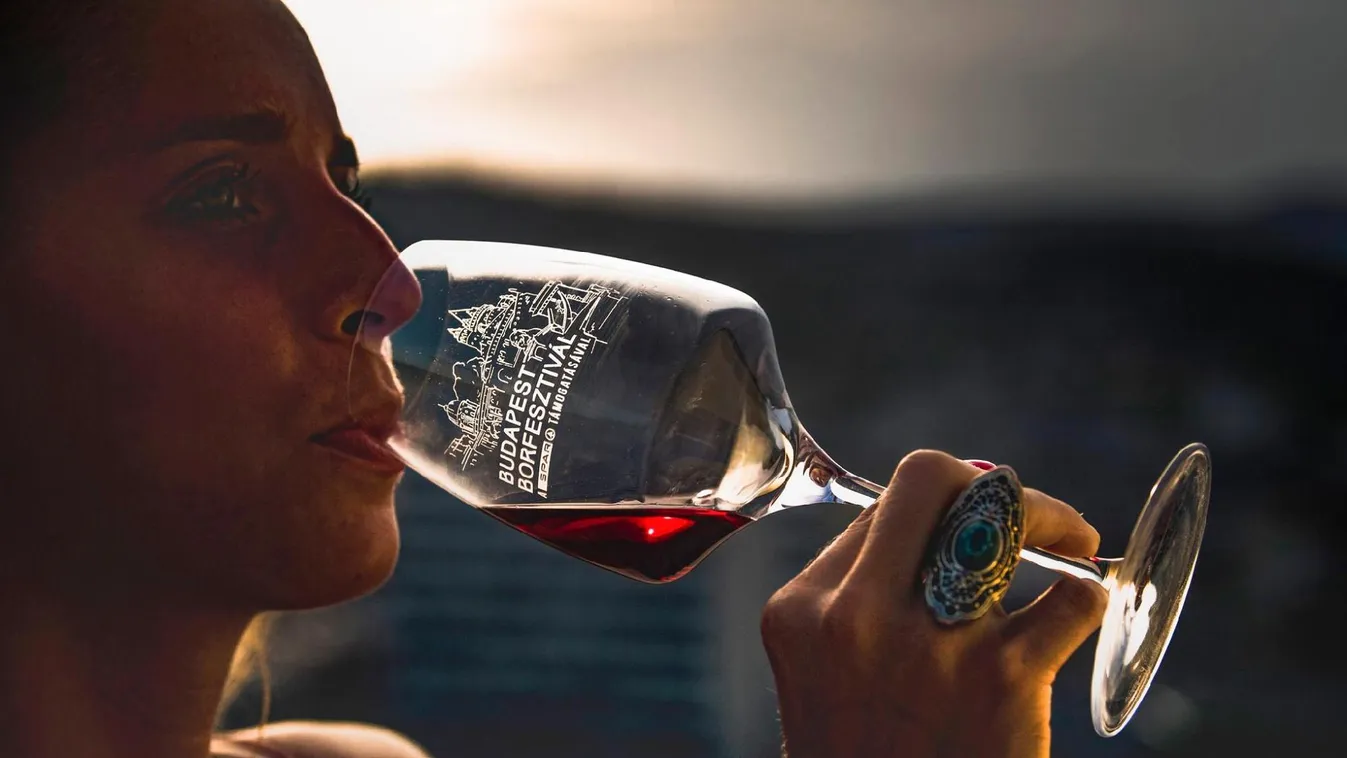 Fókuszban a balatoni borok – Paletta