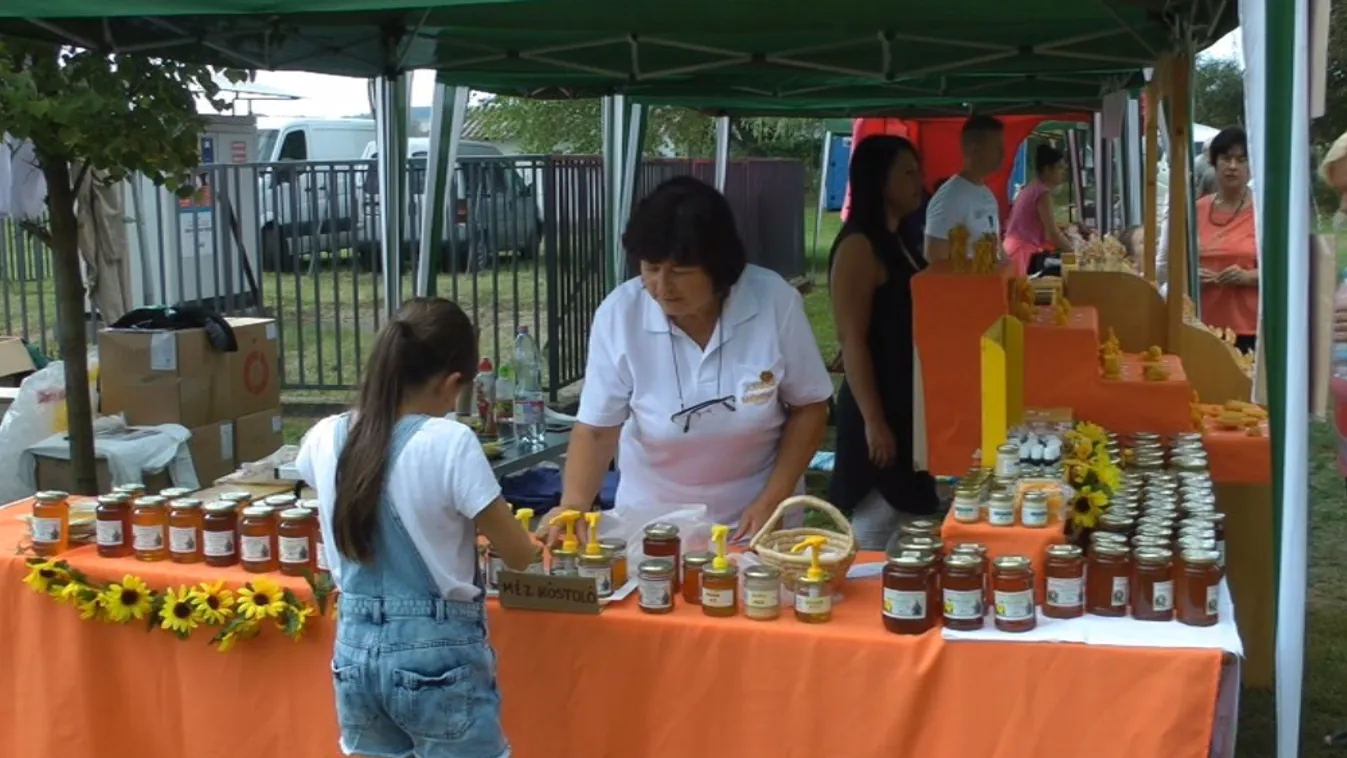 „Azt az átkot fel kell törni, hogy a közös lónak túros a háta”