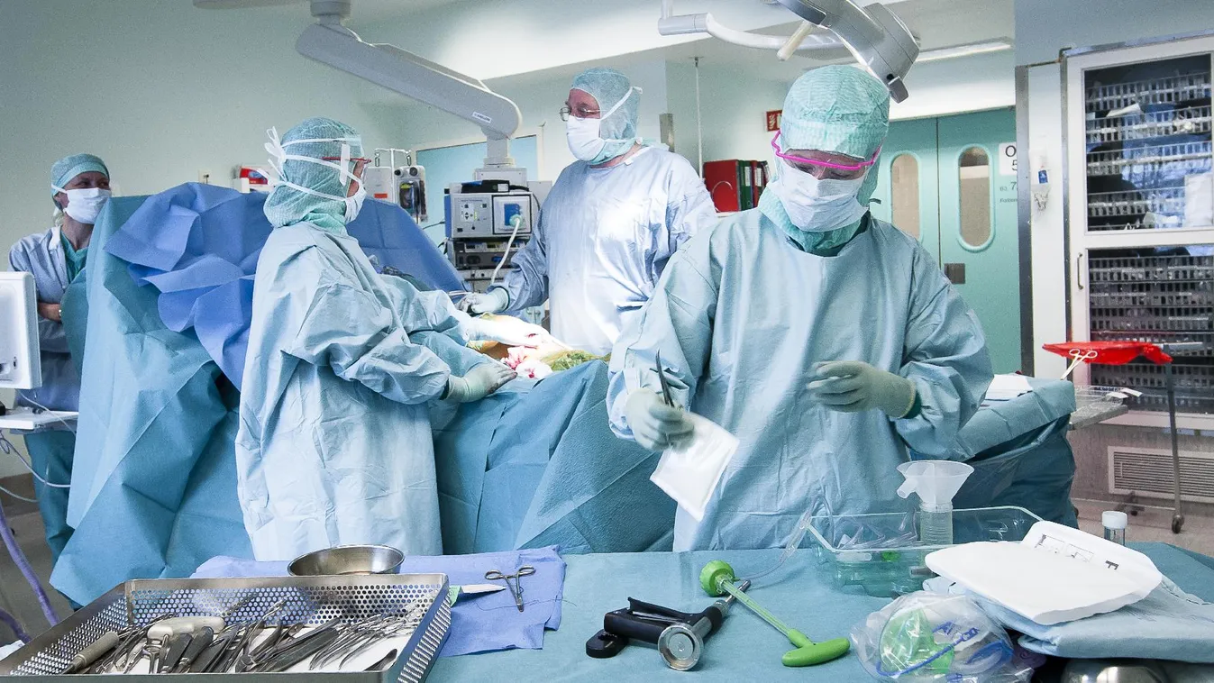 Műhiba – Panaszkönyv